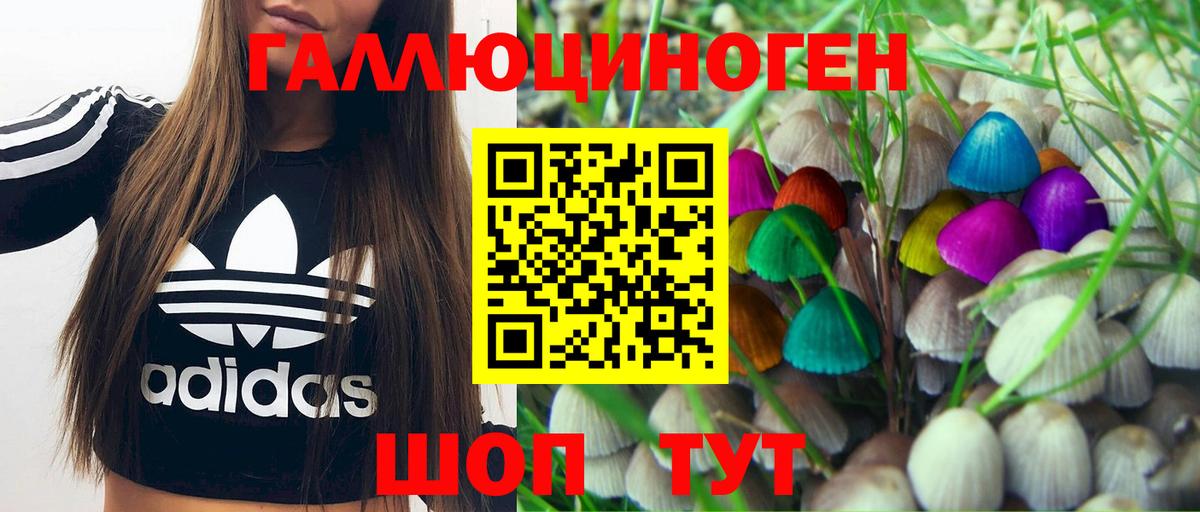 Галлюциногенные грибы Psilocybe Балашов