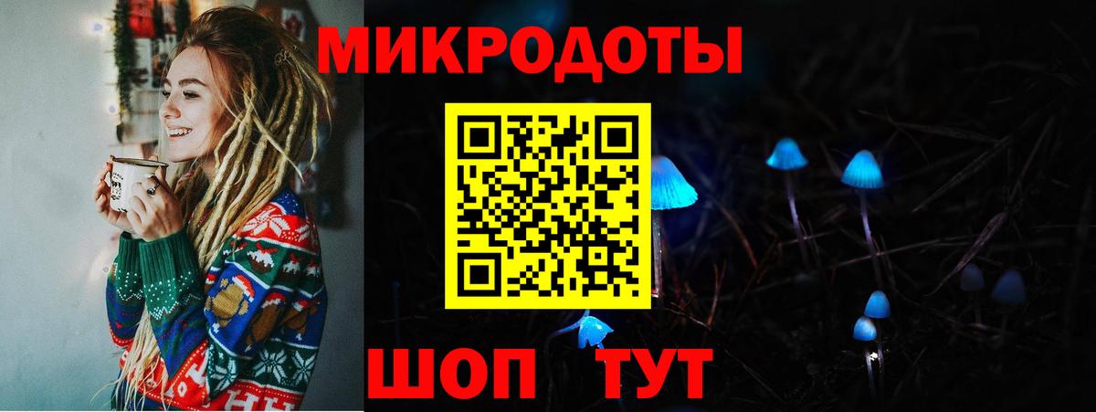 хочу наркоту  Вход с VPN  Псилоцибиновые грибы ЛСД  Балашов  Псилоцибиновые грибы Psilocybe 