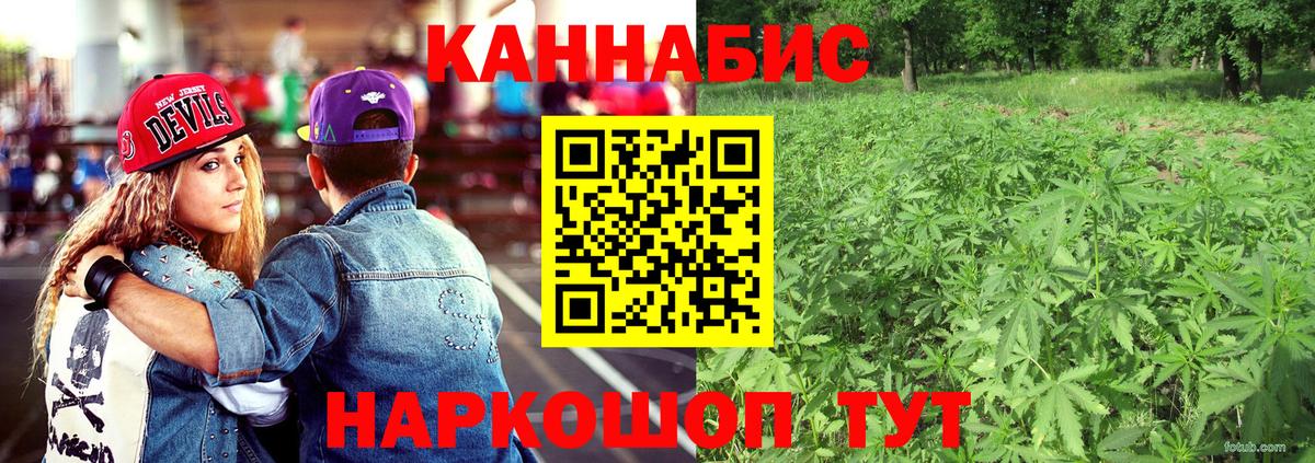 Шишки марихуана марихуана  Конопля планчик  Балашов  Вход с VPN 